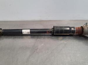 Shock Absorber AUDI A7 Sportback (4KA)