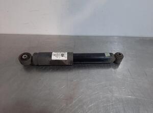 Shock Absorber FIAT PANDA (312_, 319_), LANCIA YPSILON (312_), FIAT PANDA VAN (312_, 519_)