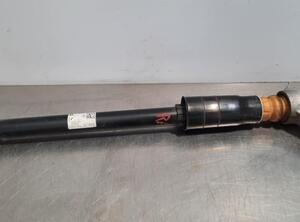 Shock Absorber AUDI A7 Sportback (4KA)