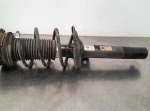 Shock Absorber SKODA OCTAVIA III (5E3, NL3, NR3)