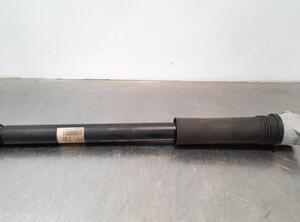 Shock Absorber MERCEDES-BENZ A-CLASS (W177)