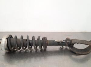 Shock Absorber BMW X5 (E70), BMW X6 (E71, E72)