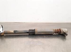 Shock Absorber AUDI A3 (8V1, 8VK)