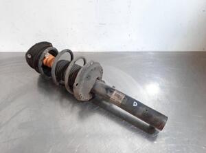 Shock Absorber AUDI A3 (8V1, 8VK)