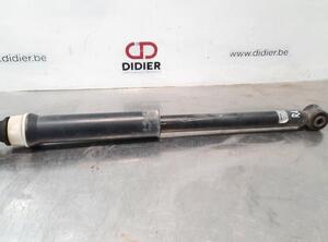 Shock Absorber RENAULT CLIO V (B7_)