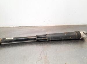 Shock Absorber SKODA KAMIQ (NW4)