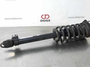 Shock Absorber MERCEDES-BENZ C-CLASS Convertible (A205)