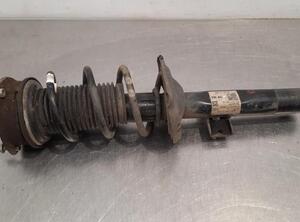 Shock Absorber VW POLO (AW1, BZ1)