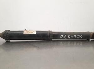 Shock Absorber CITROËN C3 AIRCROSS II (2R_, 2C_)