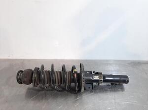 Shock Absorber SKODA ROOMSTER (5J7), SKODA ROOMSTER Praktik (5J)