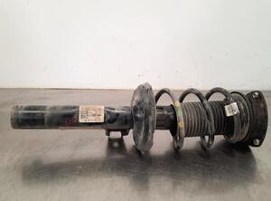 Shock Absorber VW PASSAT B8 Variant (3G5, CB5), VW PASSAT (3G2, CB2)