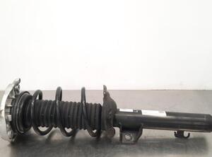 Shock Absorber CUPRA BORN (K11)