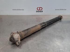 Shock Absorber VW TIGUAN (AD1, AX1), VW TIGUAN ALLSPACE (BW2)