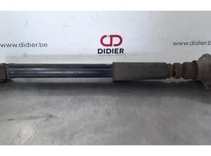 Shock Absorber AUDI A6 Avant (4G5, 4GD, C7)