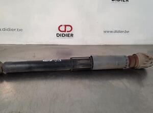 Shock Absorber AUDI A3 Sportback (8VA, 8VF)