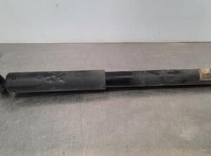 Shock Absorber FORD TRANSIT V363 Platform/Chassis (FED, FFD)