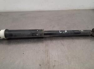 Shock Absorber RENAULT CLIO V (B7_)