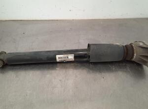 Shock Absorber BMW 1 (F20)