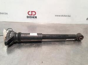 Shock Absorber DS DS 3 / DS 3 CROSSBACK (UR_, UC_, UJ_)