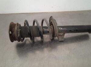 Shock Absorber SKODA KODIAQ (NS7, NV7, NS6)