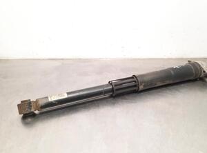 Shock Absorber VW GOLF VIII (CD1)