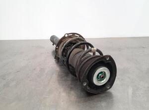 Shock Absorber SKODA OCTAVIA III (5E3, NL3, NR3)