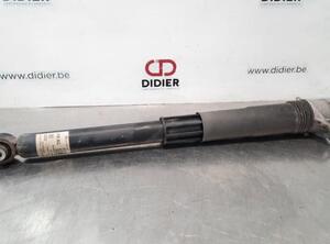 Shock Absorber VW GOLF VIII (CD1)