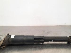 Shock Absorber CUPRA BORN (K11)