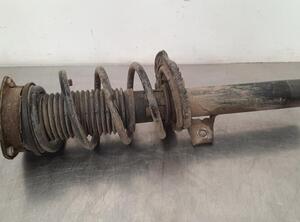 Shock Absorber SKODA KODIAQ (NS7, NV7, NS6)