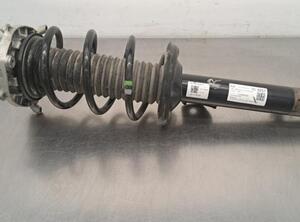 Shock Absorber AUDI Q4 SUV (F4B)