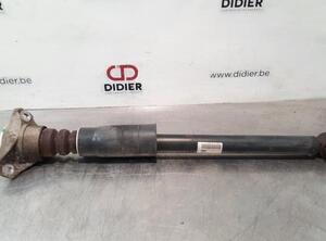 Shock Absorber AUDI A4 (8W2, 8WC, B9)