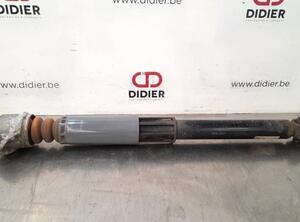 Shock Absorber AUDI A3 Sportback (8VA, 8VF)