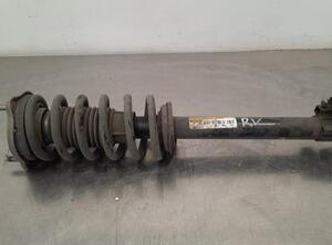 Shock Absorber MERCEDES-BENZ C-CLASS (W205)