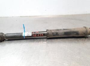 Shock Absorber HYUNDAI i10 III (AC3, AI3)