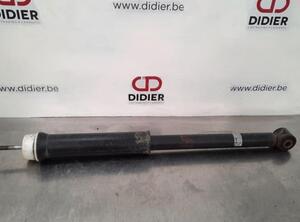 Shock Absorber RENAULT CLIO V (B7_)