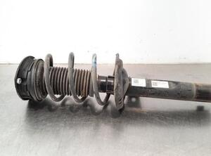 Shock Absorber SKODA OCTAVIA IV Combi (NX5)