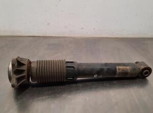 Shock Absorber BMW 5 Touring (F11)