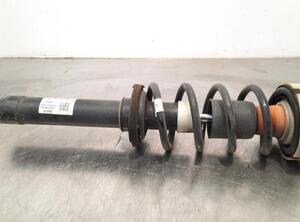 Shock Absorber AUDI A4 (8K2, B8), AUDI A4 (8W2, 8WC, B9)