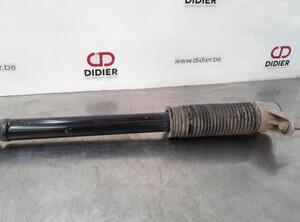 Shock Absorber TESLA MODEL 3 (5YJ3)