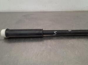 Shock Absorber RENAULT CLIO V (B7_)