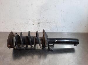 Shock Absorber VW TIGUAN (AD1, AX1), VW TIGUAN ALLSPACE (BW2)