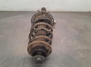 Shock Absorber VW TRANSPORTER V Van (7HA, 7HH, 7EA, 7EH), VW TRANSPORTER VI Van (SGA, SGH, SHA, SHH)