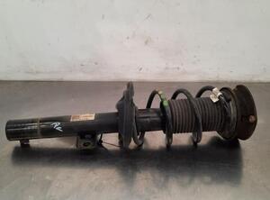 Shock Absorber VW POLO (AW1, BZ1)