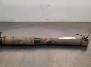 Shock Absorber MERCEDES-BENZ VIANO (W639)