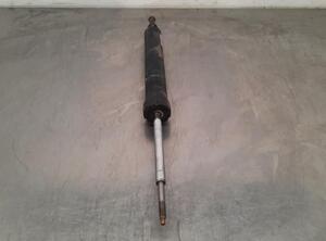 Shock Absorber BMW 1 (E81), BMW 1 (E87)