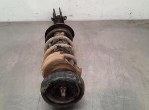 Shock Absorber OPEL VIVARO B Bus (X82), OPEL VIVARO B Van (X82), RENAULT TRAFIC III Van (FG_)