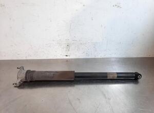 Shock Absorber MERCEDES-BENZ B-CLASS (W247)