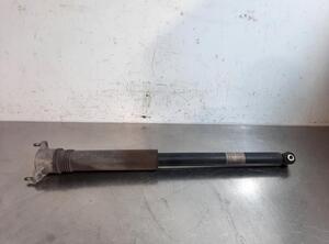 Shock Absorber MERCEDES-BENZ B-CLASS (W247)