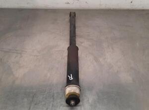 Shock Absorber RENAULT CLIO V (B7_)