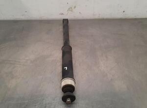 Shock Absorber RENAULT CLIO V (B7_)